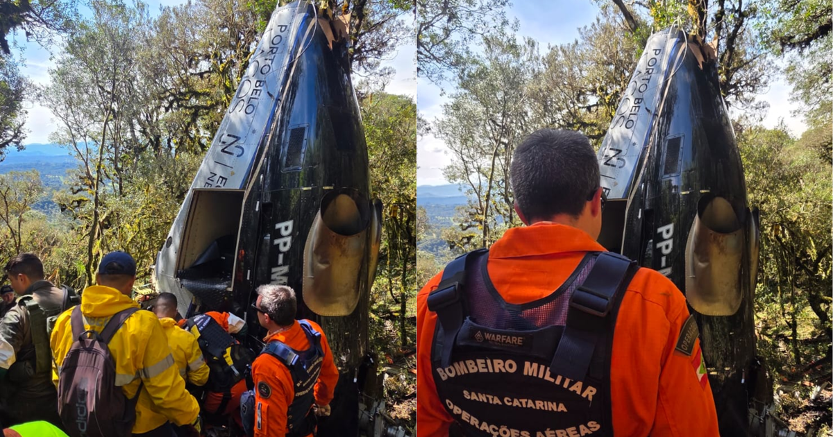 Helicóptero de Rick teria caído de bico no meio de árvores, diz perita