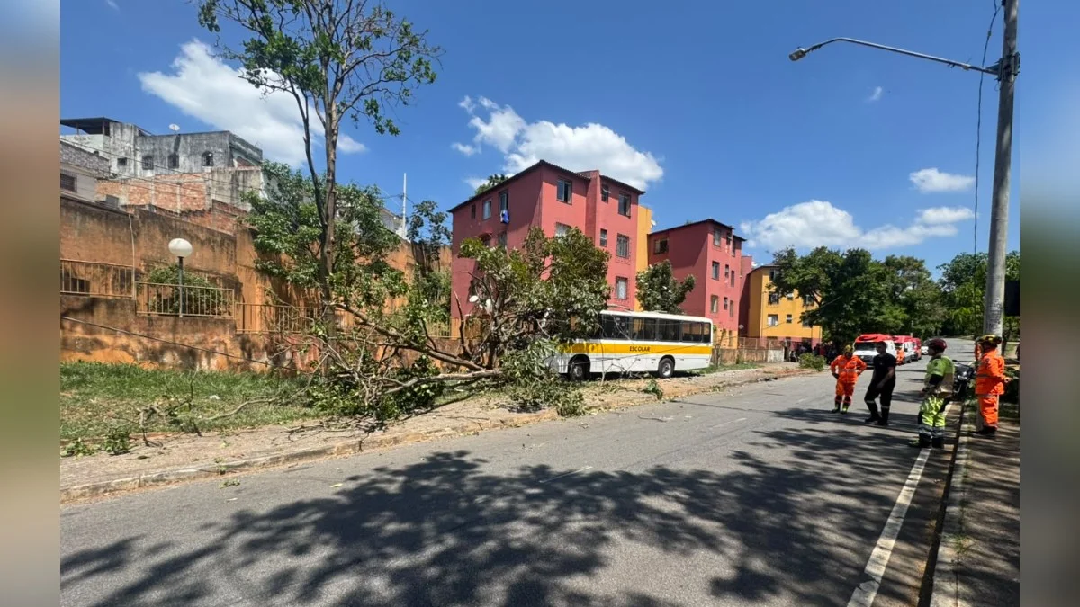 BH: motorista diz que ônibus escolar perdeu o freio antes de bater em poste