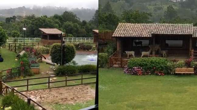 Enquete: Giovanna, Serginho ou Stephanie, quem deve ficar em A Fazenda 18?