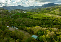 Lastic removido como treinador interino da Seleção