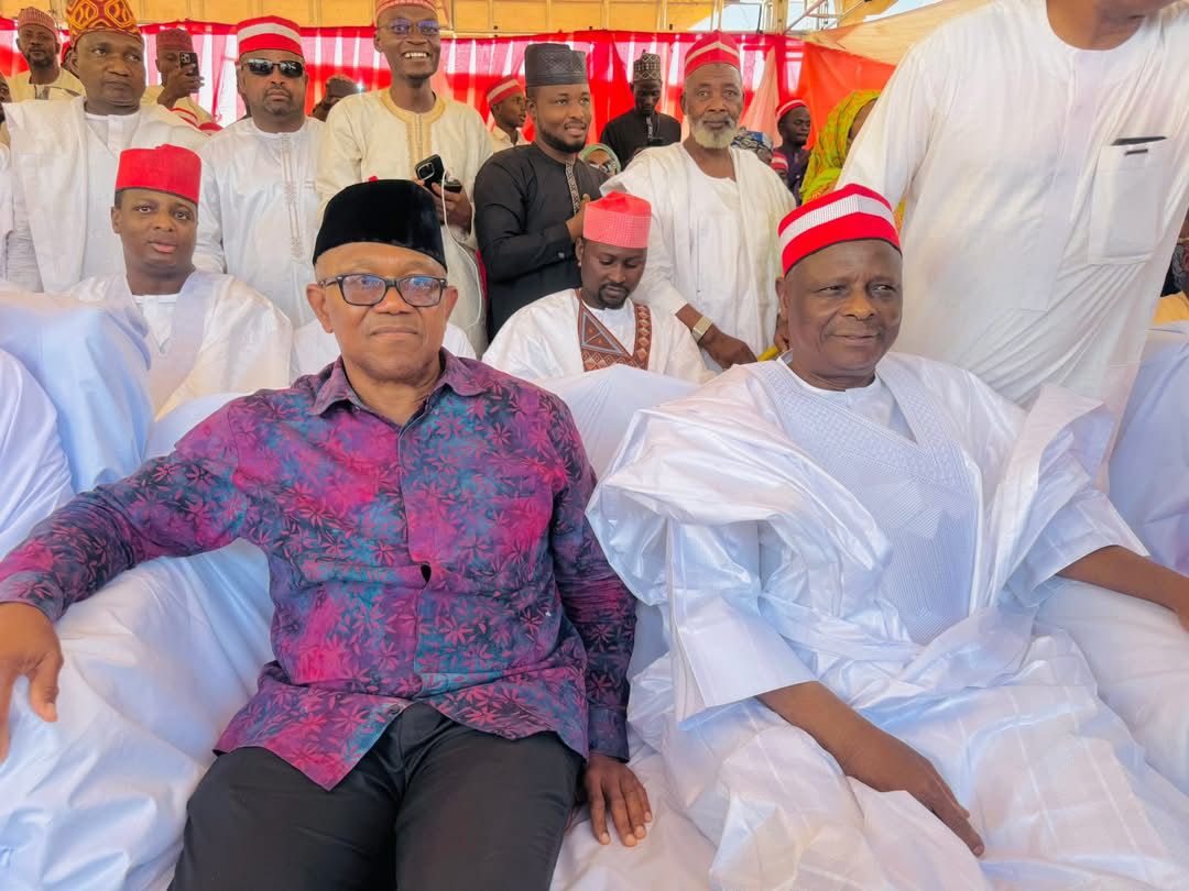 2027: NDC cedes key campaign council appointments to Obi, Kwankwaso