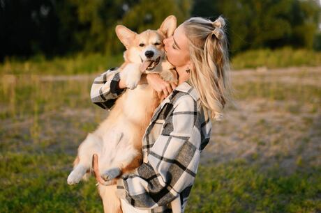 Encostar o focinho na mão e colocar a pata sobre o tutor: veja 6 sinais de que o cachorro quer carinho