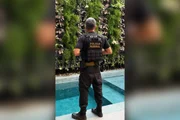 PF acha cofre em operação contra deputado federal e apreende 21 carros