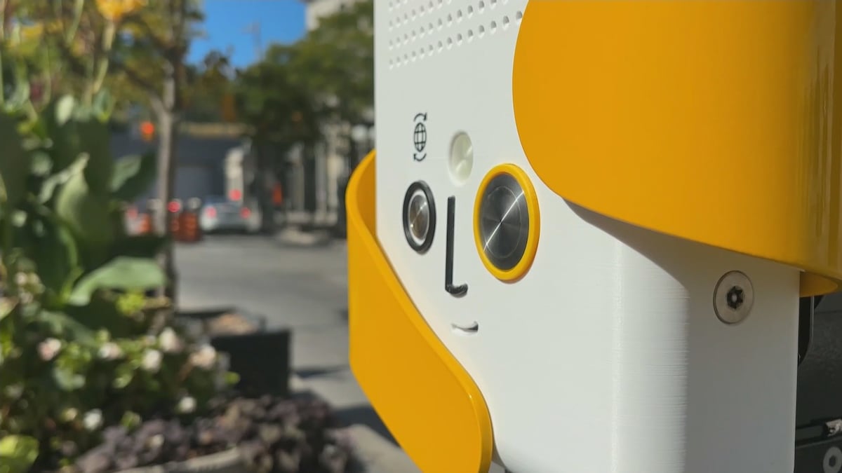 ‘Happy little box’: Ottawa artist aims to spread cheer with interactive art installations