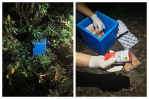 Carga radioativa roubada em SP é encontrada intacta na Zona Leste da cidade
