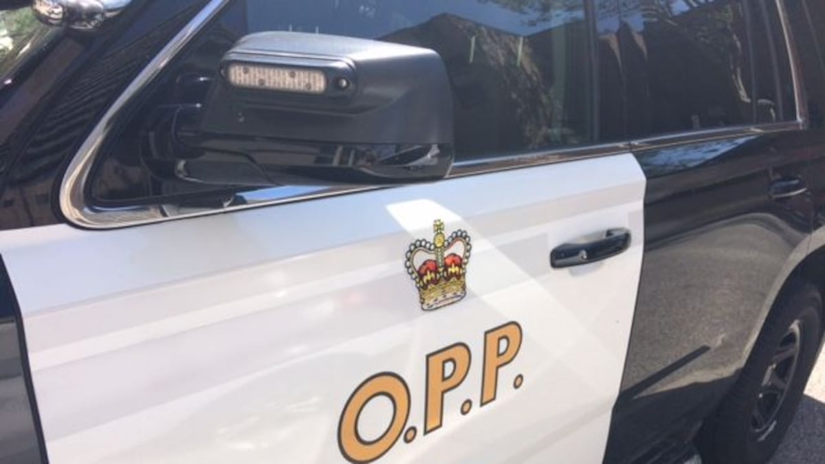 Charge laid after crash with OPP cruiser