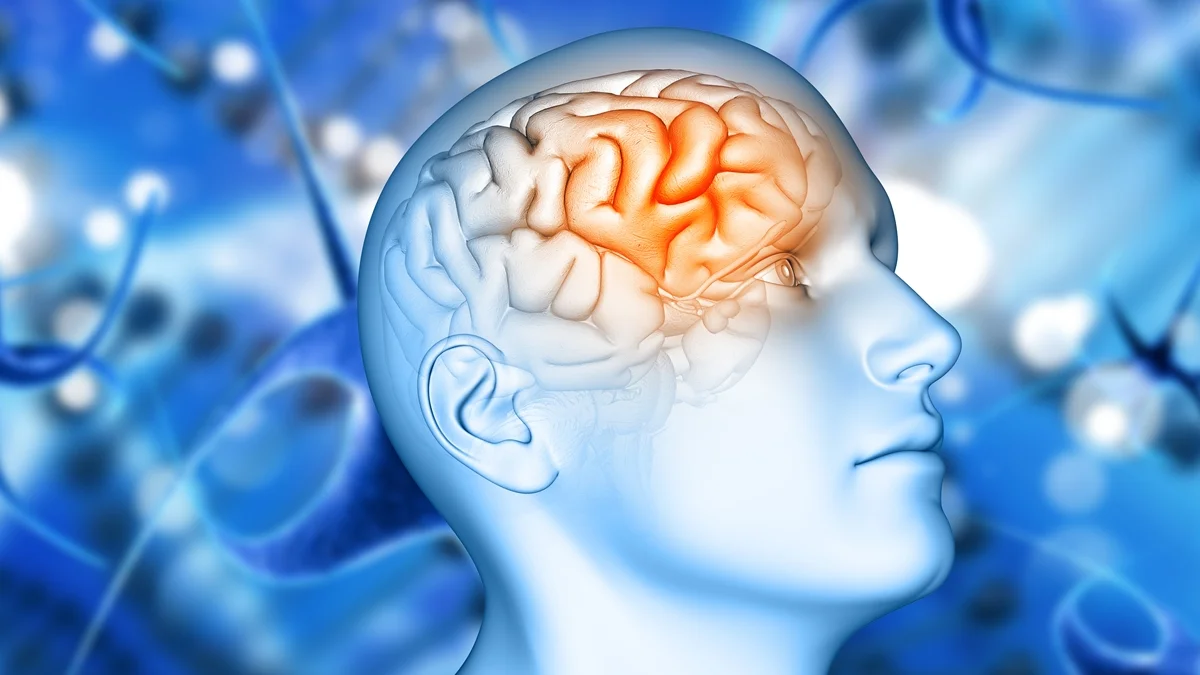 Estudo encontra variante genética que pode triplicar risco de Alzheimer