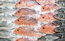 4 thói quen bảo quản nước uống trong nhà cần xem lại