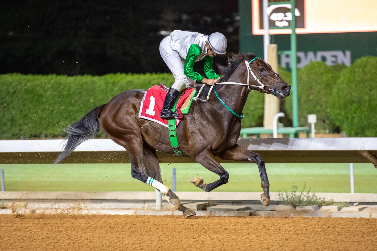 A corrida de Riade retorna ao Hipódromo Rei Abdulaziz