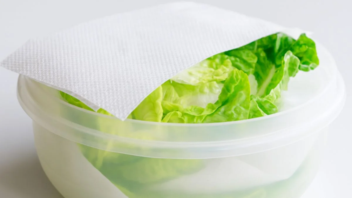 Como lavar e guardar alface para as folhas ficarem crocantes e durarem mais
