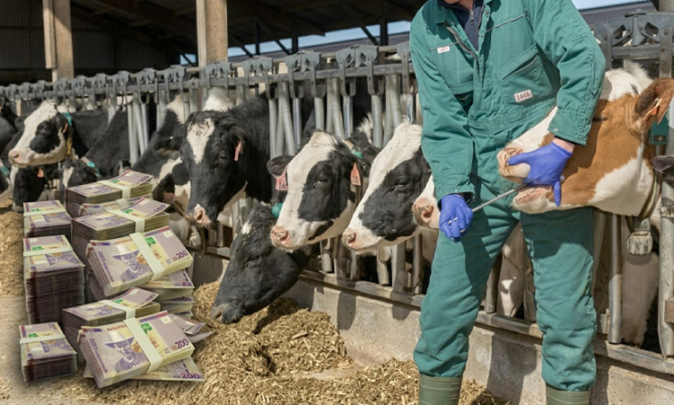 Ainda existem 156 tratores não prontos para os agricultores