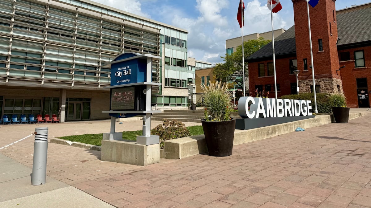 Cambridge municipal election: Meet the candidates
