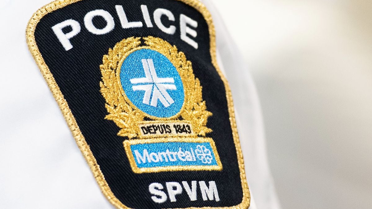 2 Montreal police officers suspended for alleged abuses of power, including urinating on homeless person