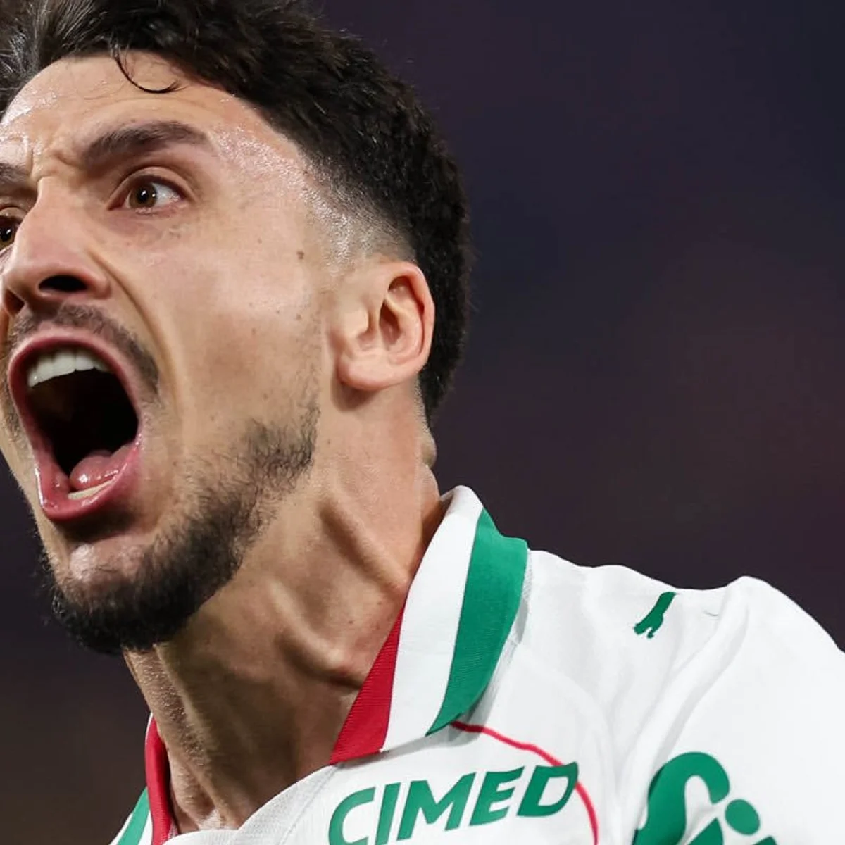 Veja os gols da vitória que colocou o Palmeiras na liderança do Brasileirão